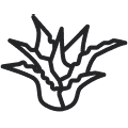 Matelas à l&#039;aloe vera